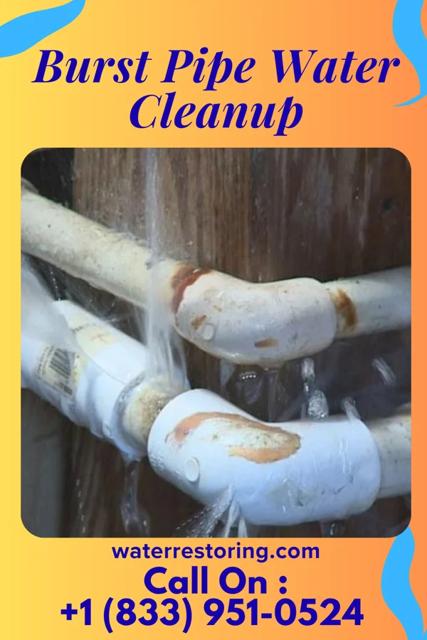 Burst Pipe Water Cleanup in Lathrop, MO
