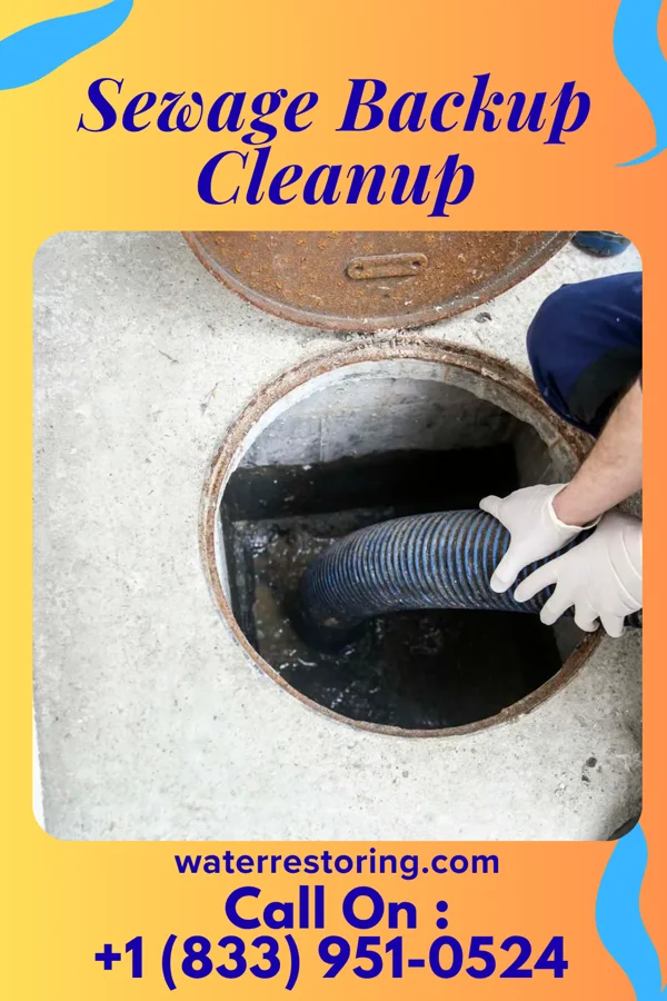 Sewage Backup Cleanup in Lathrop, MO