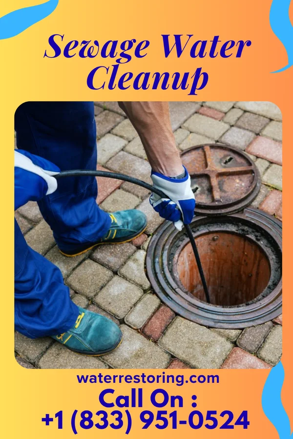 Sewage Water Cleanup in Lathrop, MO